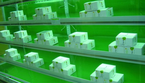 五行豆腐農產品包裝設計與市場營銷策劃方案